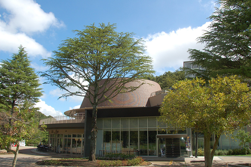 店舗の画像です